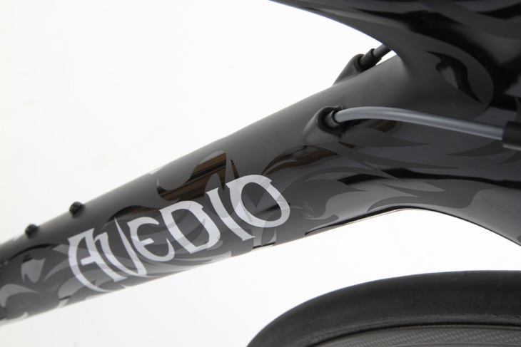 エヴァディオ2013 Venus01＆Bacchas01Di2限定車 新企画SYSTEM